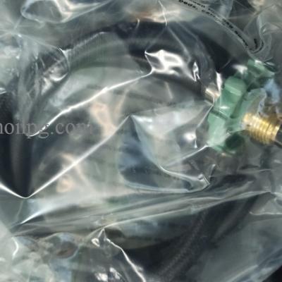 DAY ĐUÔI HEO TAIWAN